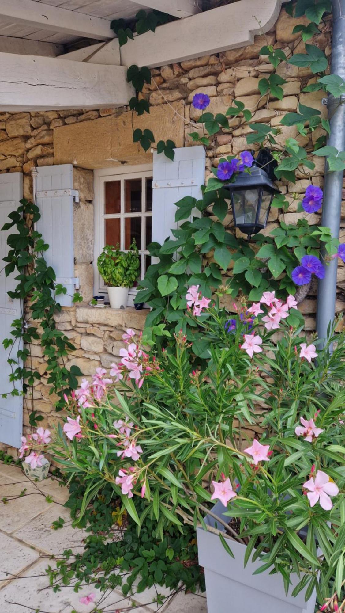 Le Clos-Lascazes Maison D'Hotes Le Buisson-de-Cadouin Экстерьер фото